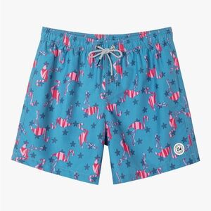 SURF CUZ Mens Swim Trunks 5 Inch Swim Shorts Quick Dry